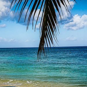 Meet your Posher, Karla